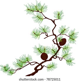Pine