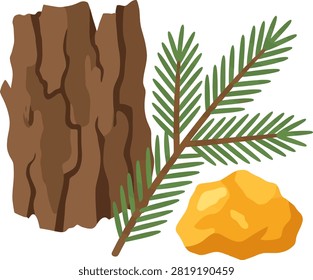 Pine bark, evergreen branch and golden resin arranged as natural fragrance materials.