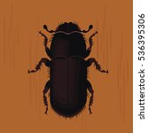 Pine beetle vector illustration