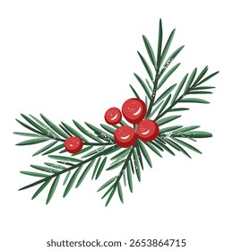 Pine branch with berries. Hand drawn winter botanical element for holiday and seasonal design