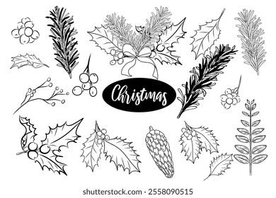 Pine, branch, Christmas decoration set. Hand drawn vector sketch illustration