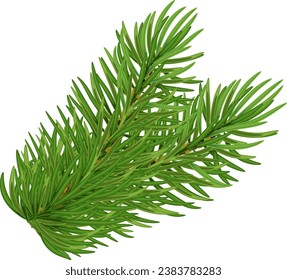 Pine branch .Christmas decorations. Christmas tree . illustration great for banners and greeting cards. vector. Eps 10