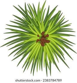Pine branch .Christmas decorations. Christmas tree . illustration great for banners and greeting cards. vector. Eps 10