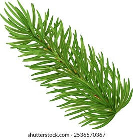 Kiefernzweig .Weihnachtsschmuck. Weihnachtsbaum. Illustration ideal für Banner und Grußkarten. Vektor. EPS 10