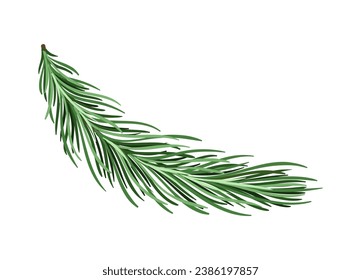 Concepto de bifurcación de pino. Parte del árbol de Navidad. Bosque y vida silvestre, flora. Naturaleza y ecosistema, botánica. Plantilla y diseño. Dibujo vectorial plano de dibujos animados aislado en fondo blanco