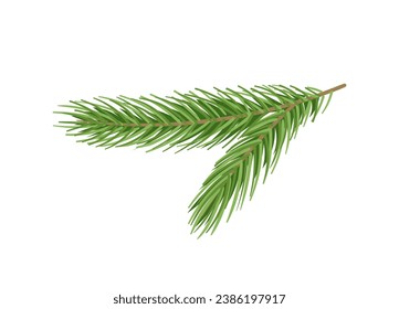 Pine branch concept. Part of Christmas tree. Forest and wildlife, flora. Nature and ecosystem. Winter plant for holidays. Cartoon flat vector illustration isolated on white background