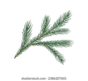 Pine branch concept. Part of Christmas tree. Forest and wildlife, flora. Nature and ecosystem. Sticker for messengers. Cartoon flat vector illustration isolated on white background