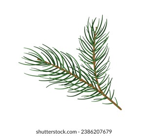 Concepto de bifurcación de pino. Parte del árbol de Navidad. Bosque y vida silvestre, flora. Naturaleza y ecosistema. Natural y orgánica. Dibujo vectorial plano de dibujos animados aislado en fondo blanco