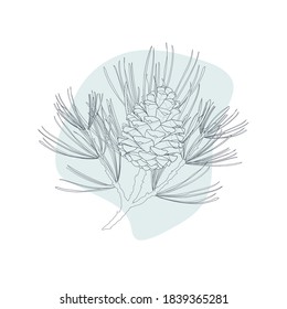 Pine branch and cone with modern geometric shape isolated on white background. Vector illustration.