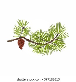 Pine branch and pine cone natural background vector illustration