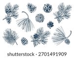 Pine Branch and Cone Set in Hand-Drawn Style. Engraved Vector Illustration for Christmas Designs