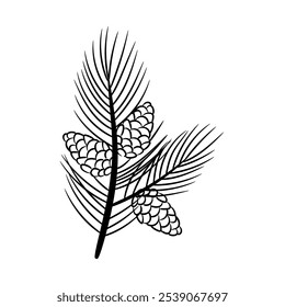 Pine branch with cone. Vector element in sketch style for the design of holiday card, pattern, banner.