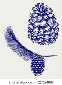 Pine branch with cones. Doodle style