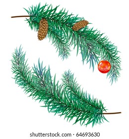 pine branch with cones and toy