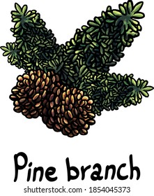 Pine branch, cones, branch, pine  cones, white background, cartoon style, party, december, holiday, new year, postcard, card, congratulations, isolated, lettering, sign, forest, twig, plant, tree, joy