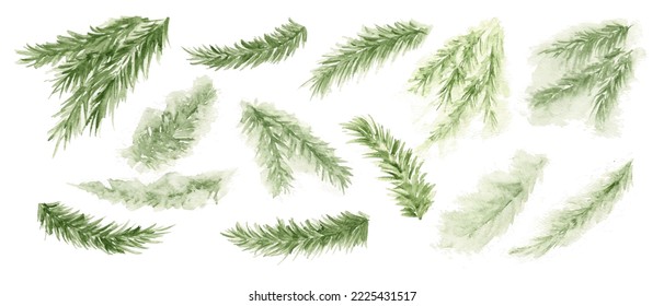 Pine branch, evergreen tree, fir, cedar watercolor. Winter green plants, holiday decoration.