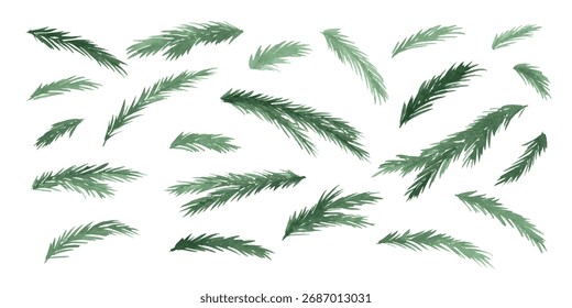 Kiefernzweig, immergrüner Baum, Tanne, Zeder-Aquarell. Wintergrünpflanzen, Feriendekoration.