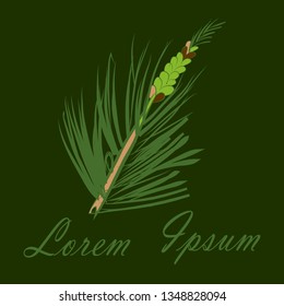 Pine branch with green needles and a male young cone on a dark background. Hand drawn, design and painted pine cone. Modern minimal flat style. Vector hand drawing of pine branch. Isolated. Copyspace