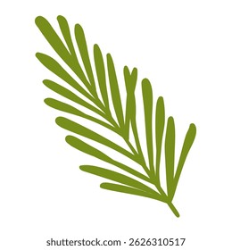 Pine Branch in Hand Drawn Style. Decoration for Christmas frames and wreaths. Nature ornament. Cute fir symbol. Holidays green flat twig