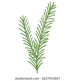 Pine Branch in Hand Drawn Style. Fir branch decoration for Christmas frames and wreaths. Nature ornament. Cute fir symbol. Holidays green flat twig.