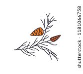 Pine branch icon. Cartoon pine branch vector icon for web design isolated on white background
