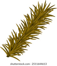 Pine Branch - Isolated on White
