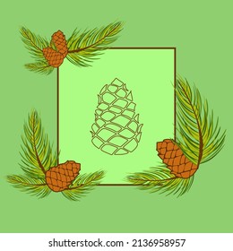 Pine branch and needles. Pine cones. Pine cone in frame. Clipart