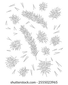 Pine branch with needles, pine needles for winter and Christmas decor. Graphic illustration hand drawn with black ink. Set of isolated objects