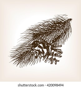Pine branch and pinecone sketch style vector illustration. Old engraving imitation. 