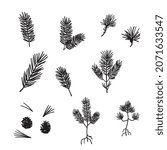 Pine branch silhouette, vector illustration set