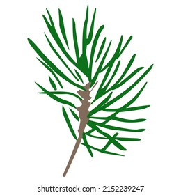 Pine branch silhouette vector single illustration.