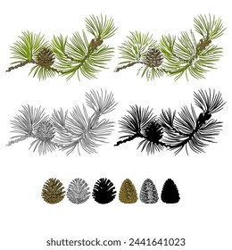 Pine branch with snow and pine cones and  as vintage engraving and silhouette set two vector illustration editable hand drawn