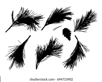 Pine branch or twig silhouettes isolated on white background
