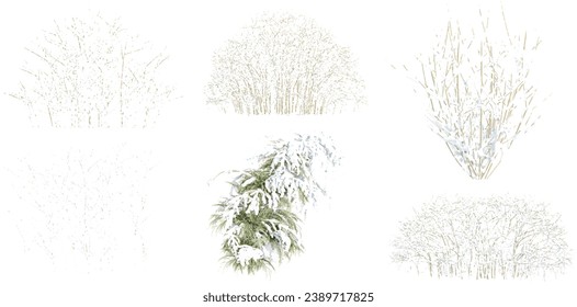 Pine Branch,Bare Trees Covered in Snows  with transparent background, 3D rendering, for illustration, digital composition, architecture visualization