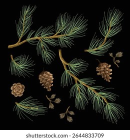 Pine branches and cones isolated. Vector