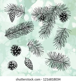 Pine branches with cones and needles. Vector objects on a beautiful, abstract background. Hand drawing.