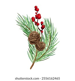 Pine branches with cones, red berries and holly. Christmas decor. Vector illustration.
