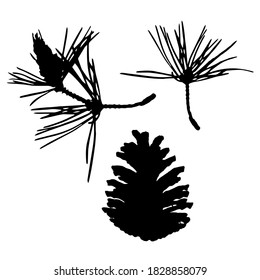 Pine Branches Needles Cone Black Silhouettes Stock Vector (Royalty Free ...