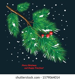 Pine branches on a dark background with red berries and Christmas greetings