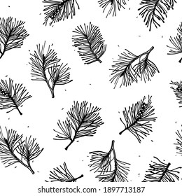 Pine Branches Seamless Pattern Hand Drawn. Monochrome Branch Drawing, Line Graphics, Vector Illustration.