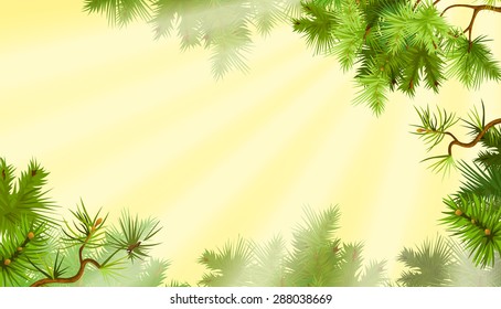 Pine branches. Sunny morning. Vector illustration.