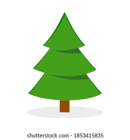 Pine or Christmas tree. Isolated on white background