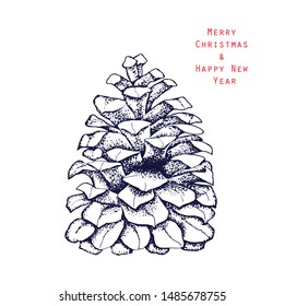 Pine cone botanical hand drawn illustration. Isolated xmas pinecones. Engraved collection. Great for greeting cards, backgrounds, holiday decor