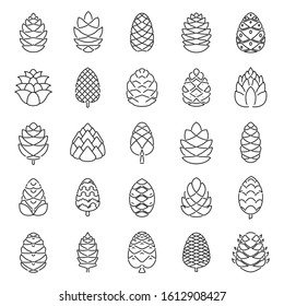 Pine cone botanical icons set. Outline set of pine cone botanical vector icons for web design isolated on white background