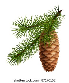 Pine cone with branch, 10eps