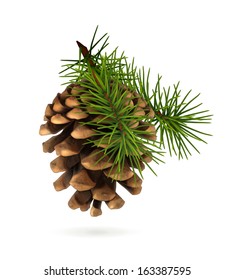 Pine cone with branch