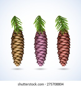 Pine cone with branch