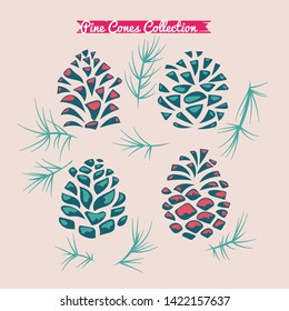 Pine cone Collection of Christmas tree branches with pine cones and mistletoe 