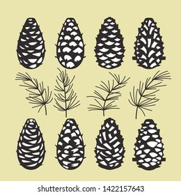 Pine cone Collection of Christmas tree branches with pine cones and mistletoe 