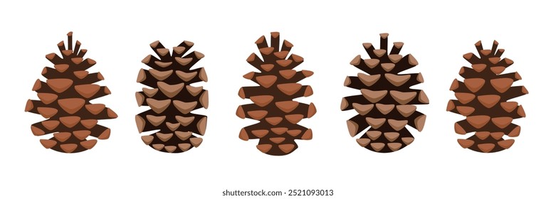 Pine cone collection vector art. Set of pinecone. Pinecone  clipart. Autumn pinecone. Autumn plants. Conifer cones. Evergreen cones.